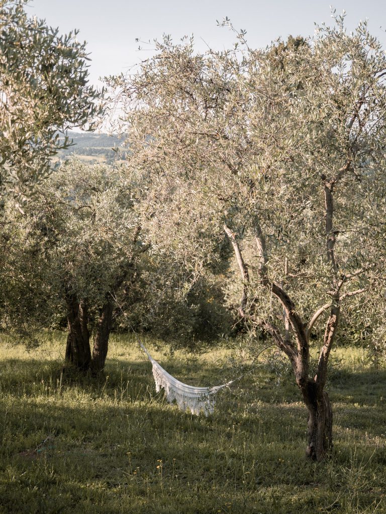 The Lazy Olive Glamping Tuscany Italy